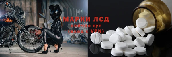 ешки Аркадак