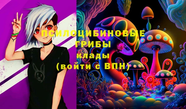 ешки Аркадак