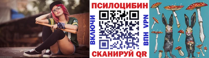 Галлюциногенные грибы Psilocybine cubensis  Ульяновск 